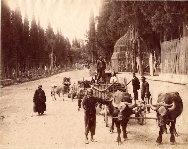 istanbul histoire cimetière