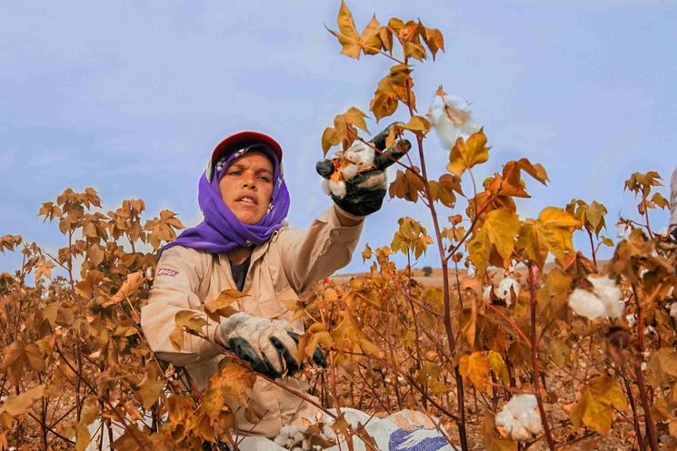 Photo d'une agricultrice