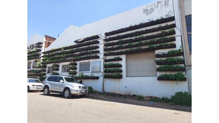 jardins verticale