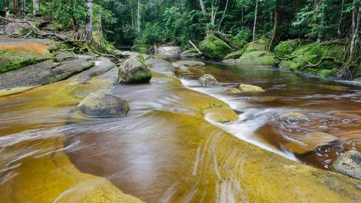 Photo du fleuve Amazone