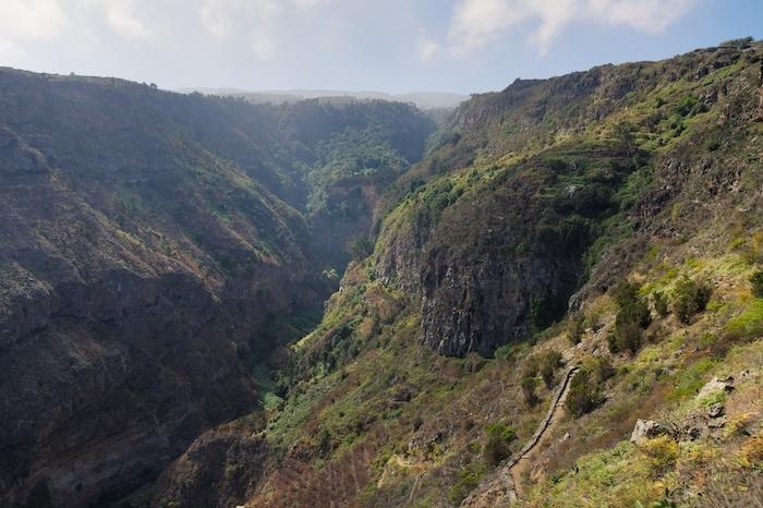 des falaises pleines de verdure