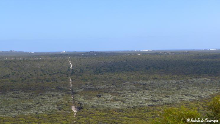 Bird observatory look out