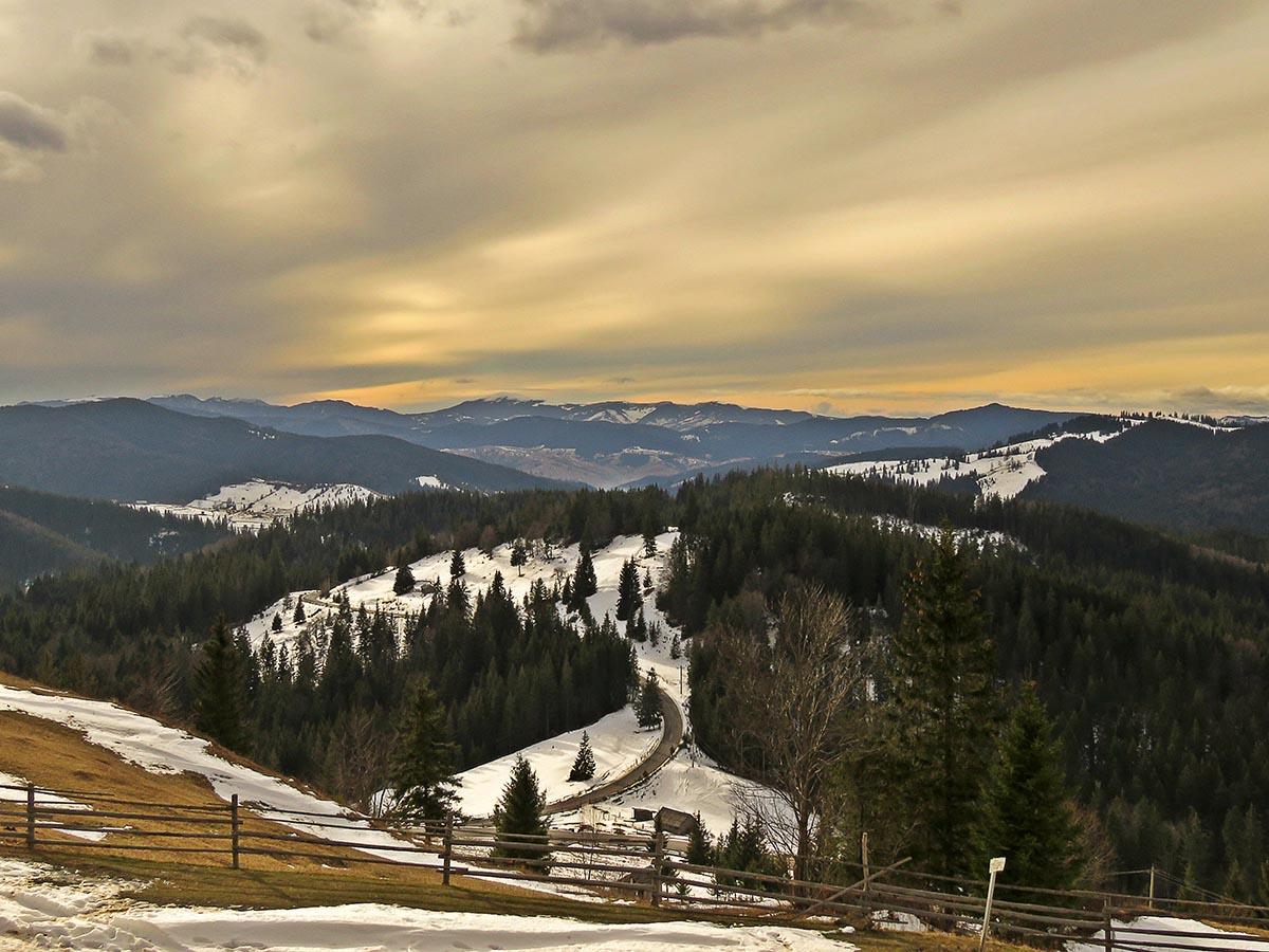 bucovina