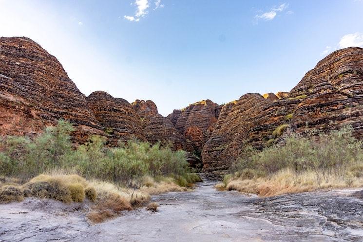 Bungles bungles