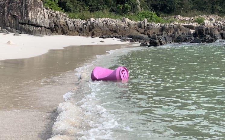 La canette géante rose à la mer