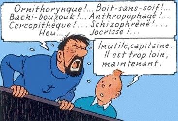 tenten tintin turquie bachi-bouzouk