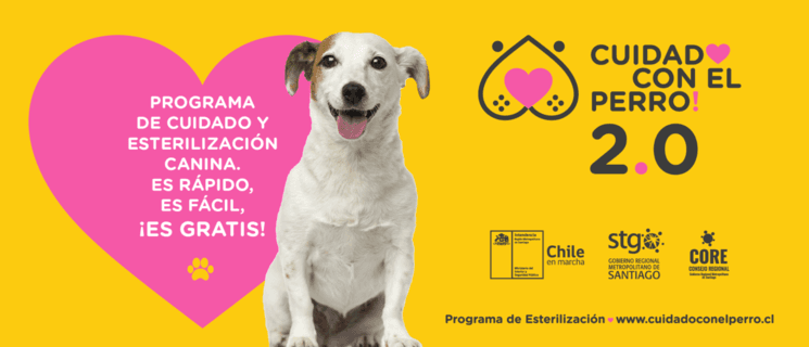 affiche de campagne pour la stérélisation des animaux domestiques au chili