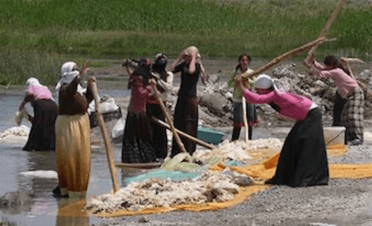 Lavage traditionnel en rivière laine Turquie