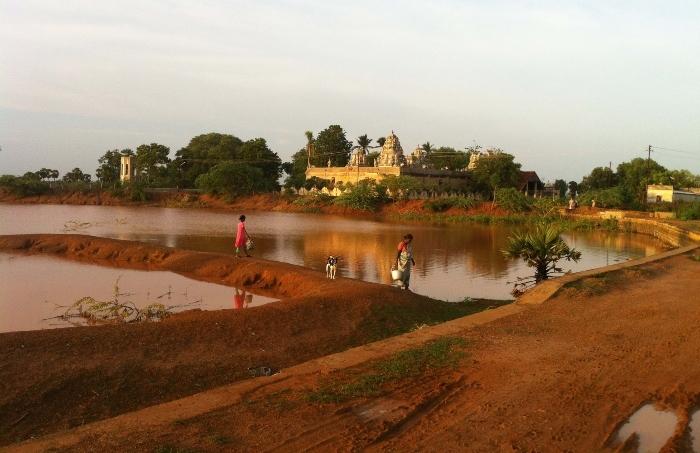 Un erys, réservoir d'eau dans la campagne du Chettinad