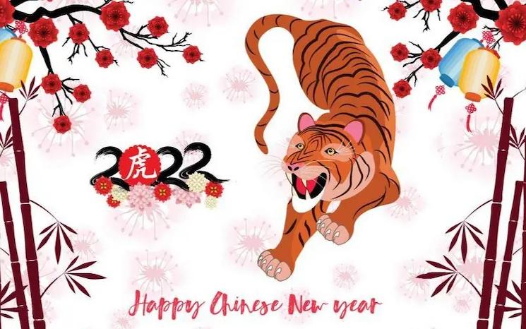 Chinese New Year - L'année du tigre