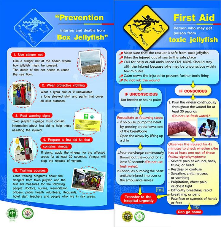 Avertissement des autorites thailandaises pour les premiers soins d'urgence en cas de piqure de meduse en Thailande