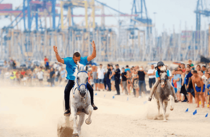 un cavalier levant les bras sur son cheval lors des Corregudes de Joies sur la plage de Pinedo