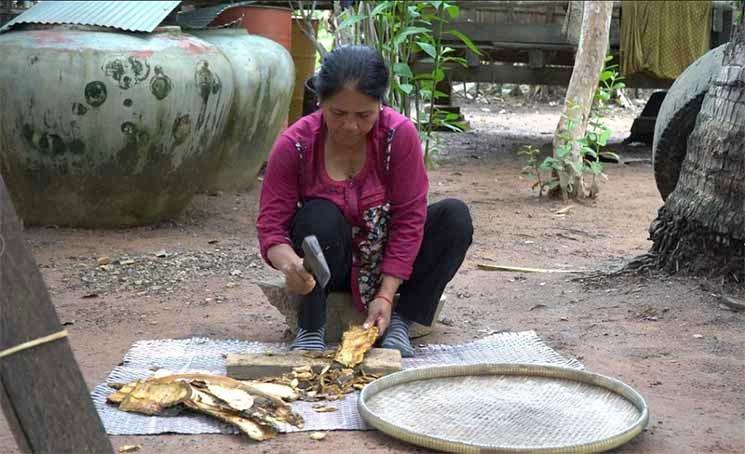 Coupe de l'écorce deTkov pour la faire sécher en vue d'une utilisation future comme médicament traditionnel photo Sothyroth:ABS Project Cambodia.jpg