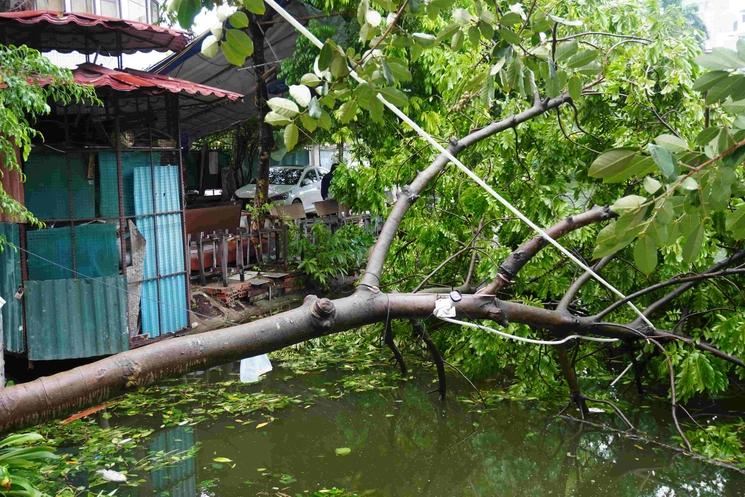 hanoi typhon yagi 