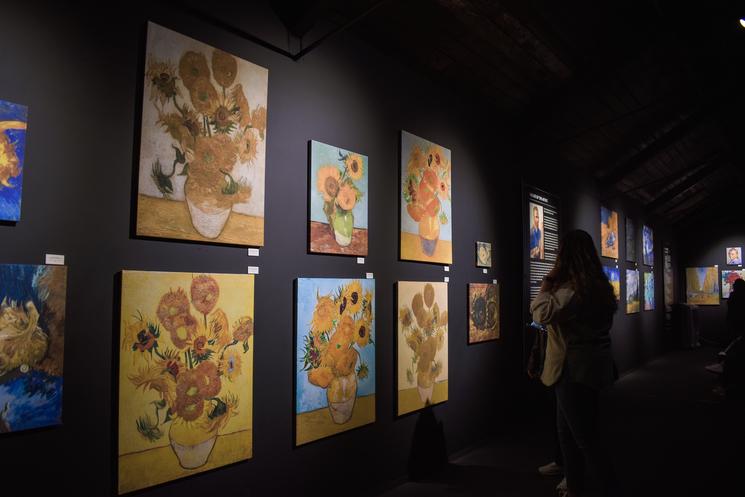 Salle de l'exposition Van Gogh: une expérience immersive