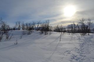 réchauffement climatique Kiruna