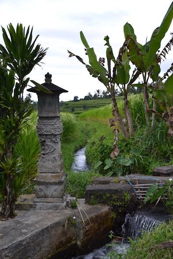 Temple dedicate a dewi SRI