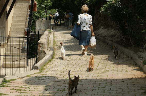 chats Istanbul