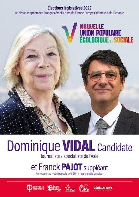 Dominique Vidal candidate