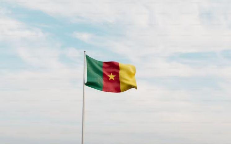 Drapeau Cameroun