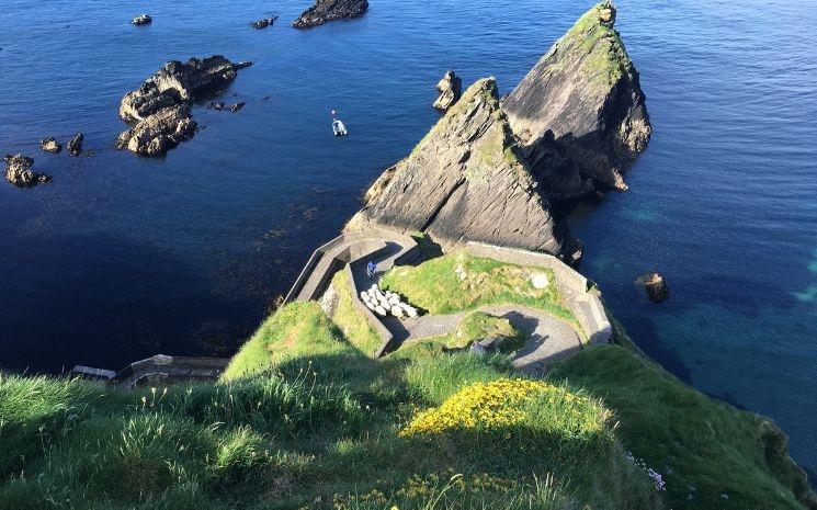 Dunquin Harbour & Sheep_Dingle, Co Kerry