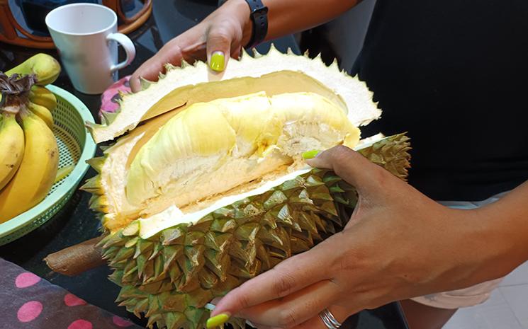 Durian, fruit thailandais à l'odeur repoussante mais nutritif