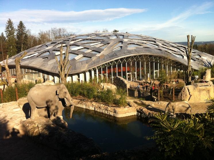 zoo zurich