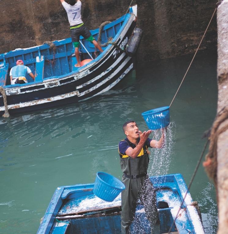 la pêche à Essaouira, Maroc 