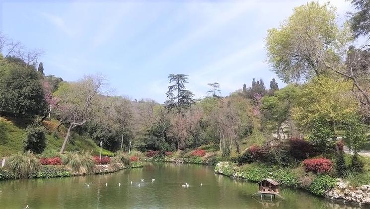 Etang dans le parc de Yıldız