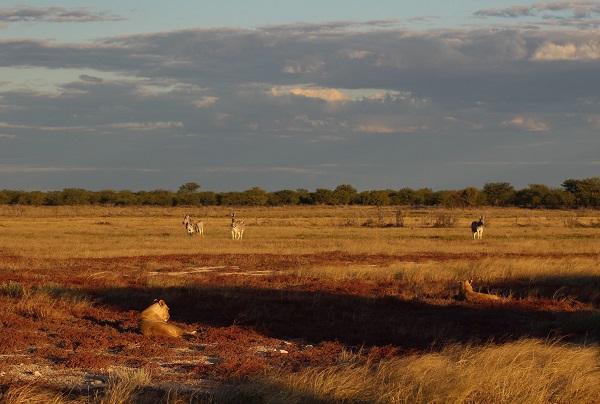 Namibie, tourisme, voyages, effective connections