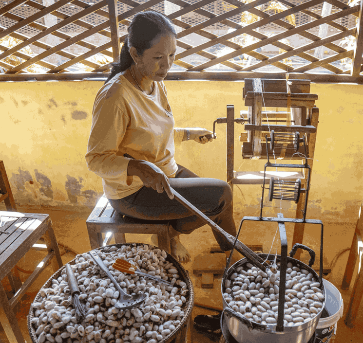 Ferme de la soie de Siem Reap