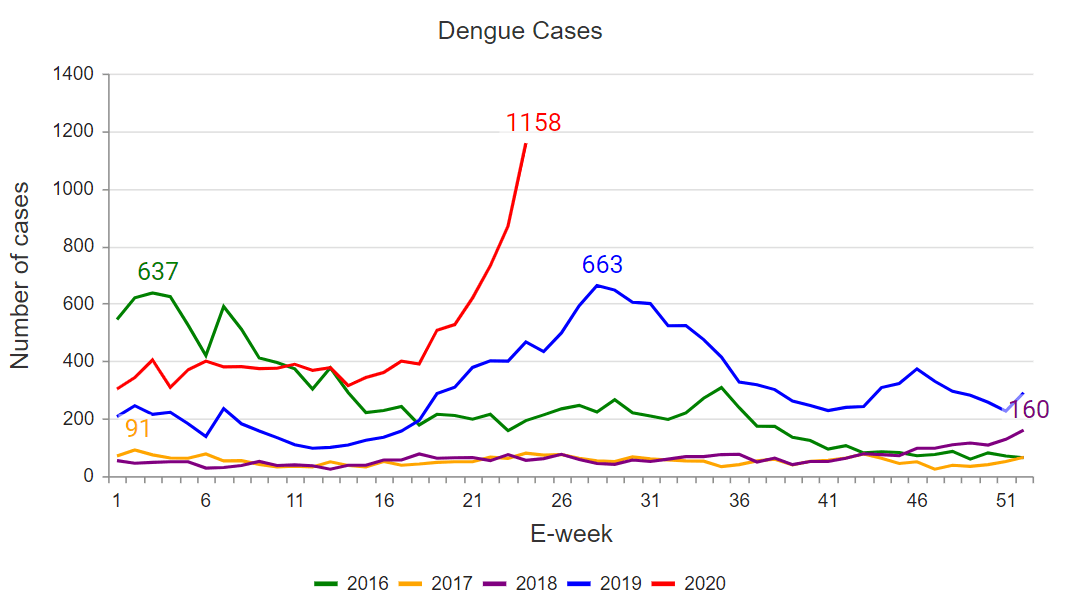 dengue singapour