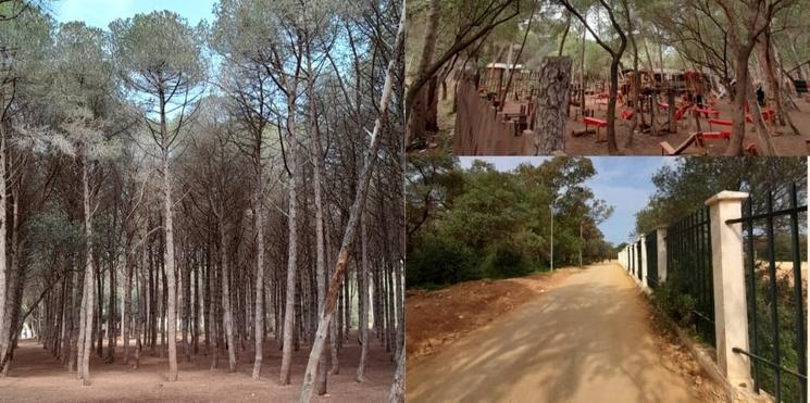 Forêt Bouchaoui Alger