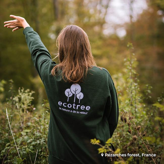 Forêt investissement arbre EcoTree 