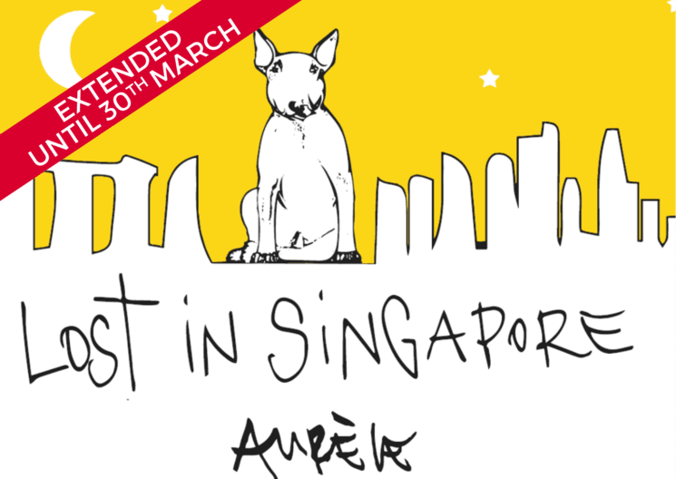 affiche lost in singapore