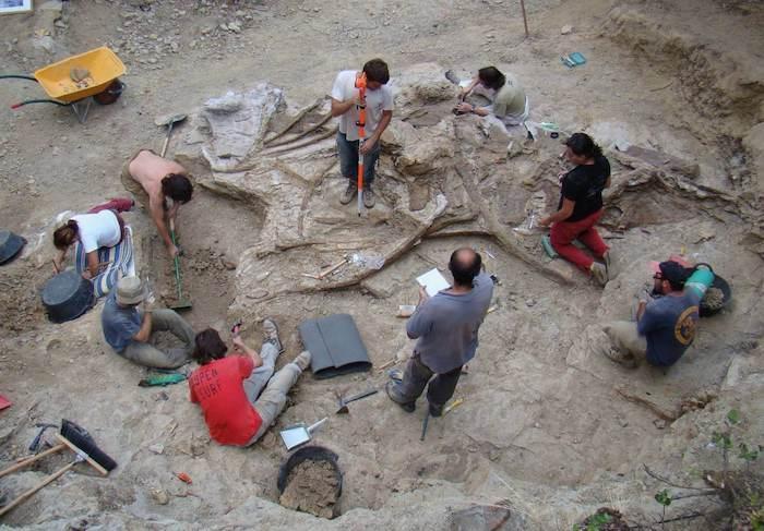 le fossile du garumbatitan trouvé sur le site archéologique de Morella