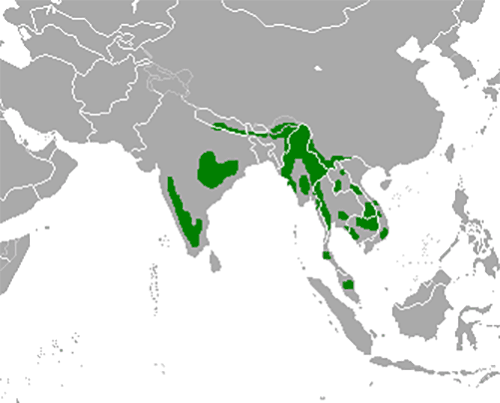 Gaur_map CC BY-SA 3.0