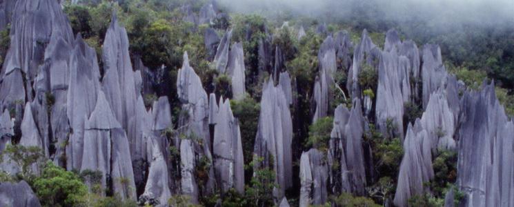 Site Unesco Gunung Mulu