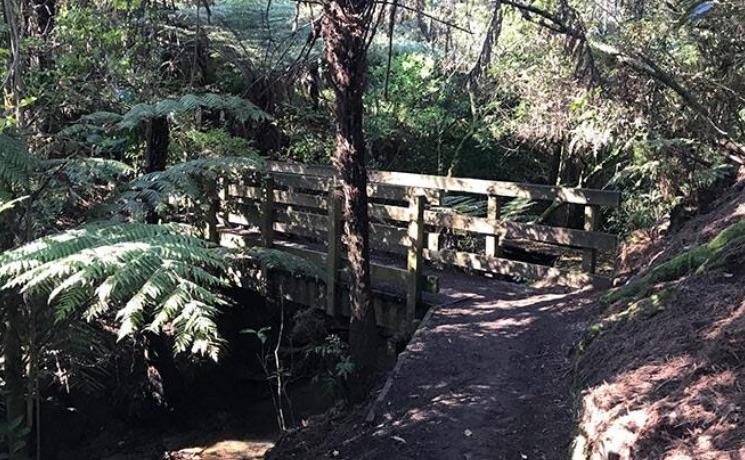 Hellyers Creek Path