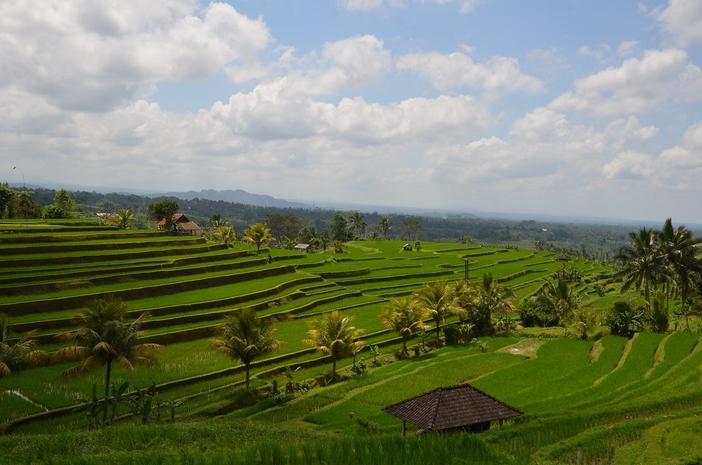 Unesco Indonésie Bali