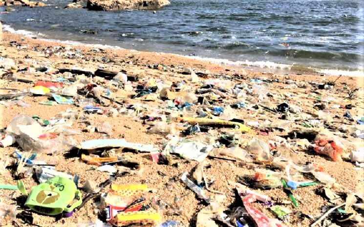 lycée français Hong Kong océan sans plastique