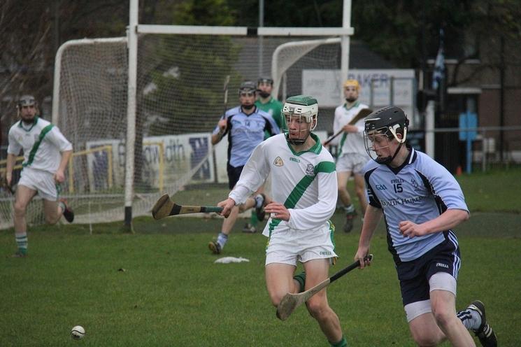 Hurling en Irlande