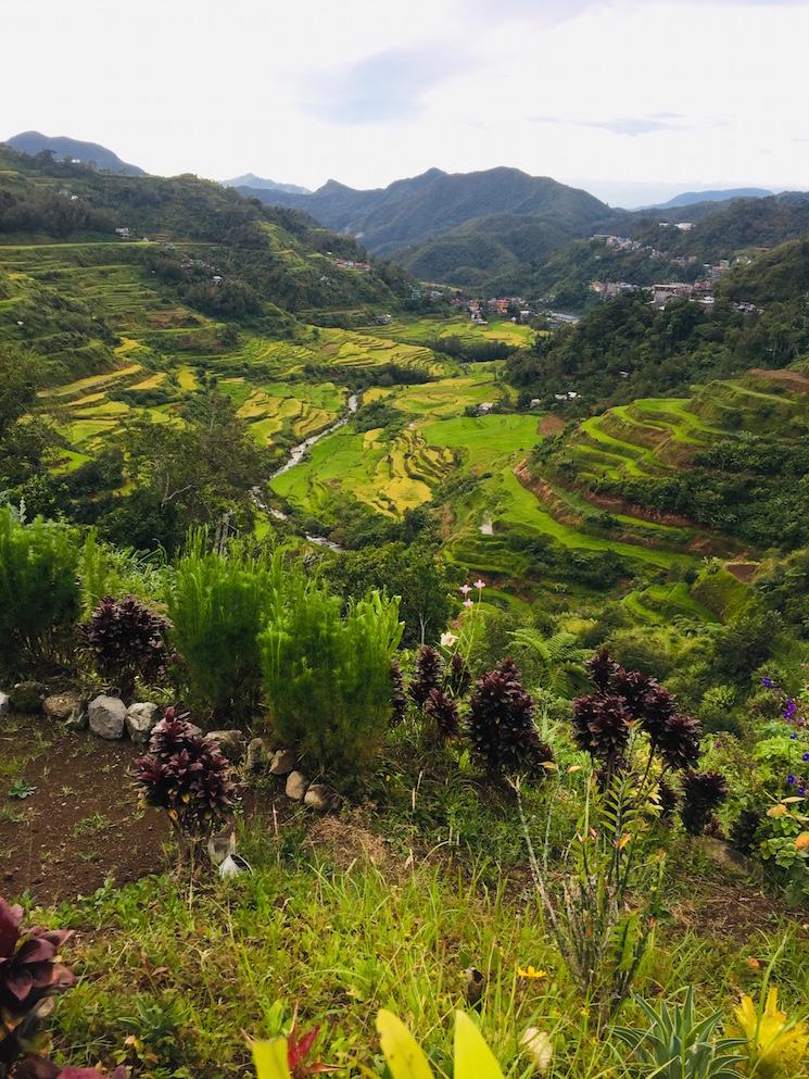 Banaue rizières Philippines