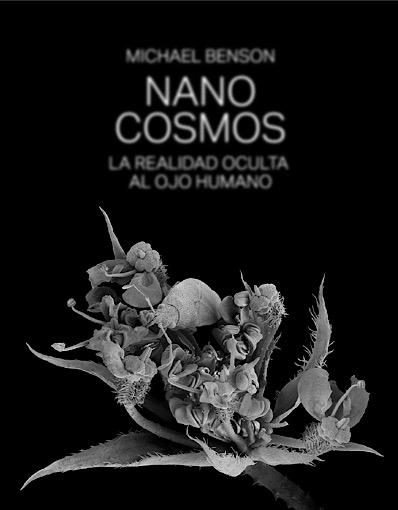 Source image : Nanocosmos - Exposición de Caixaforum en Málaga