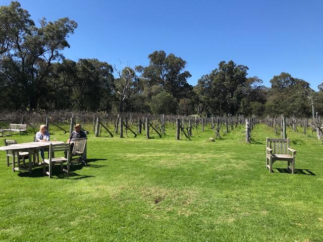 Cape Bouvard winery 