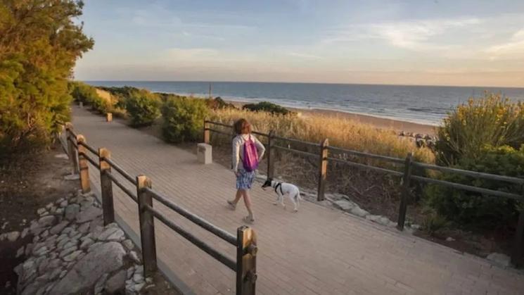 Une femme promène son chien sur un chemin à Chiclana de la Frontera, CadixEFE/ROMÁN RÍOS @informativost5