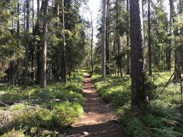 tyresta national park 