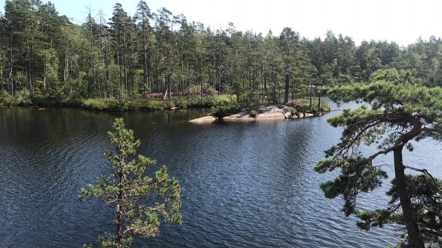 tyresta national park 