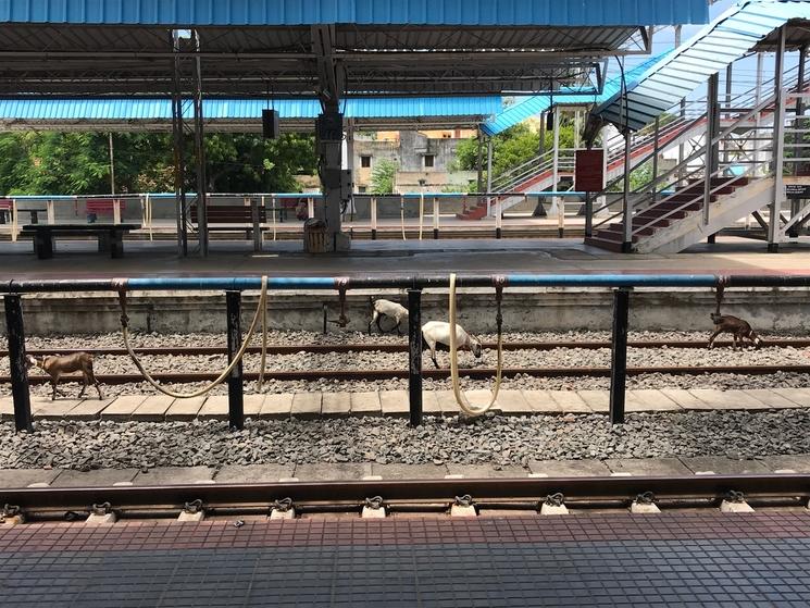 La gare de Pondichéry en Inde