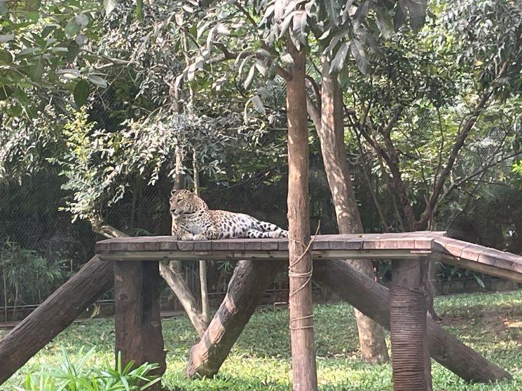 mumbai zoo